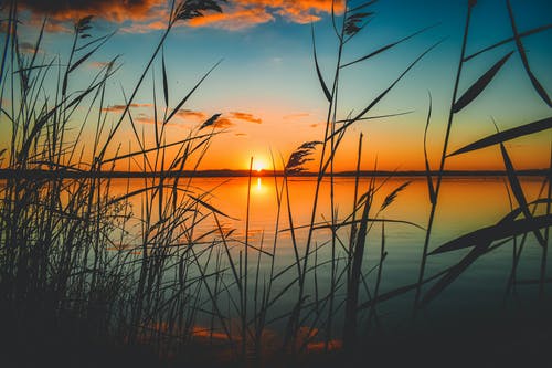 Tranquility and Peace